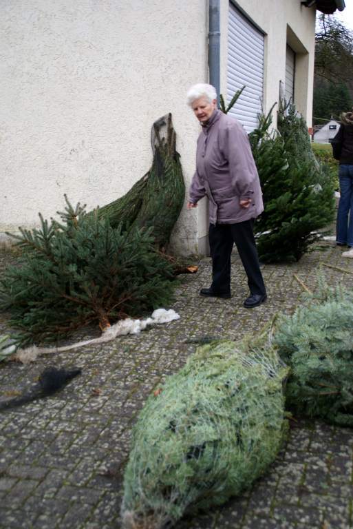 Weihnachtsbaumverkauf 2008 Bild Nr.027